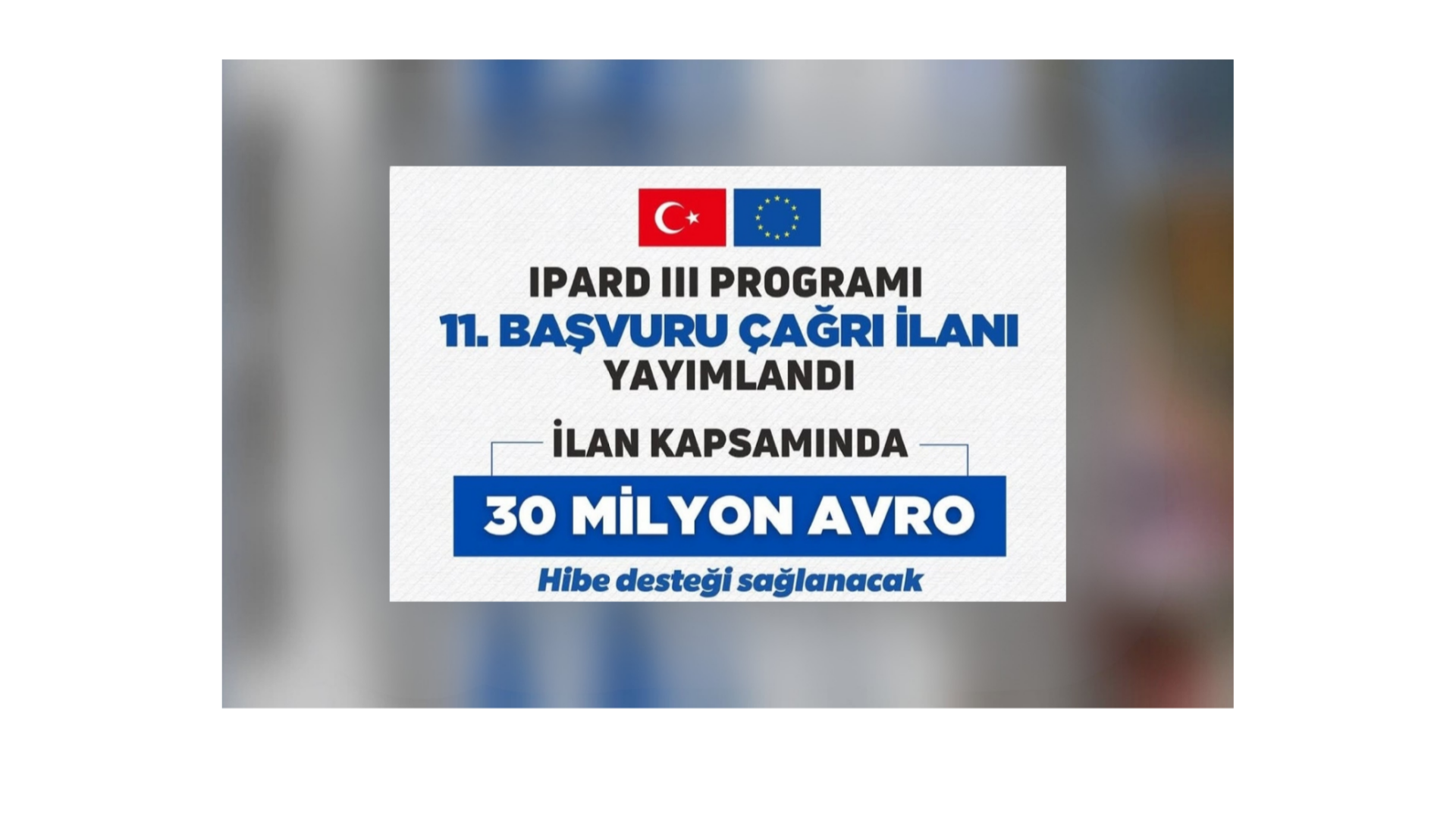 Ayşe Bayrakcı