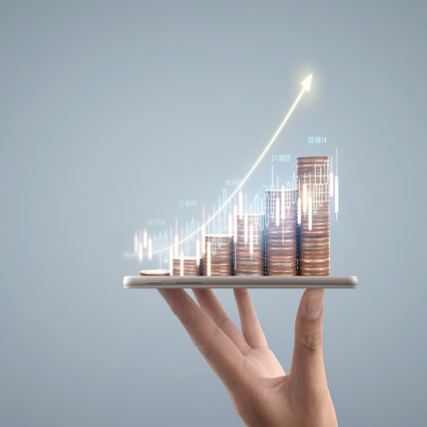 Kalkınma Ajansı Destekleri 