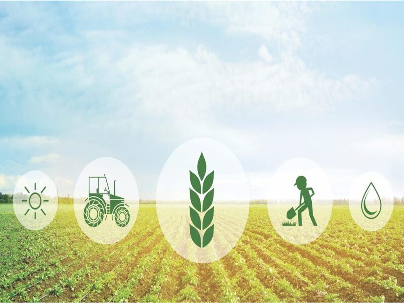 TKDK Destekleri (Tarım ve Kırsal Kalkınmayı Destekleme Kurumu)